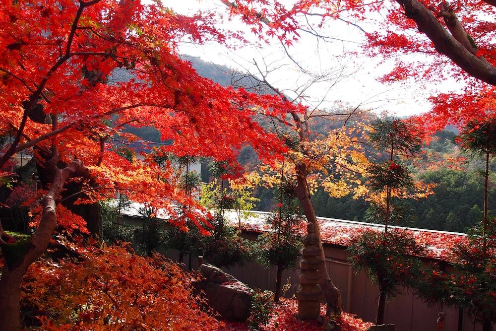 Nenrinbo Kyōto