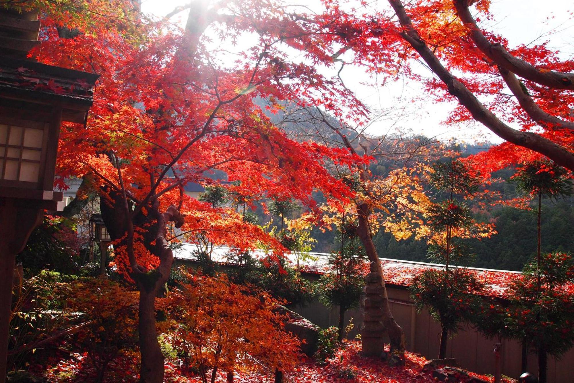 Nenrinbo 4* Kyōto