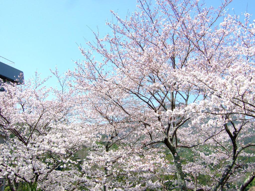 Nenrinbo Ryokan Kyōto